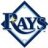 Rays Fan